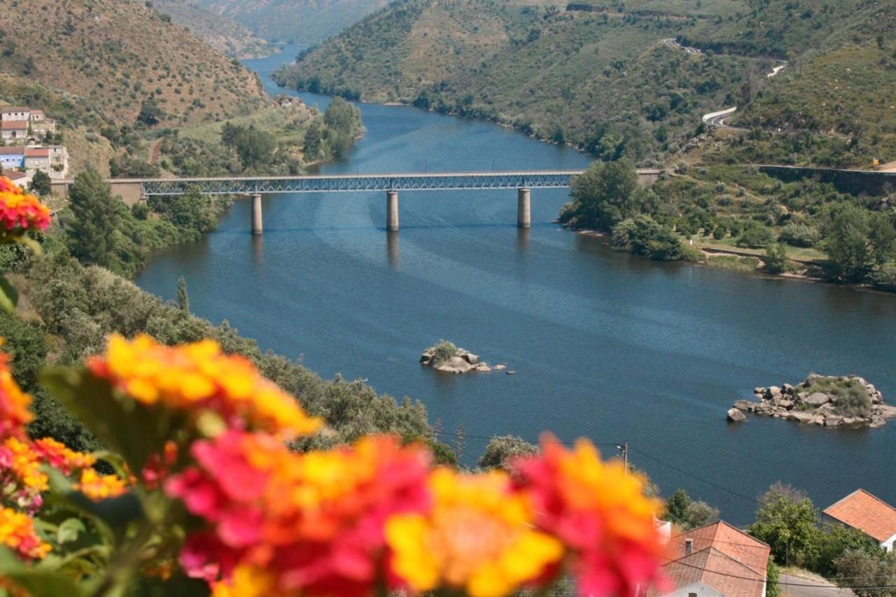 Quinta Do Belo-Ver Turismo De Habitacao Belver  Zewnętrze zdjęcie